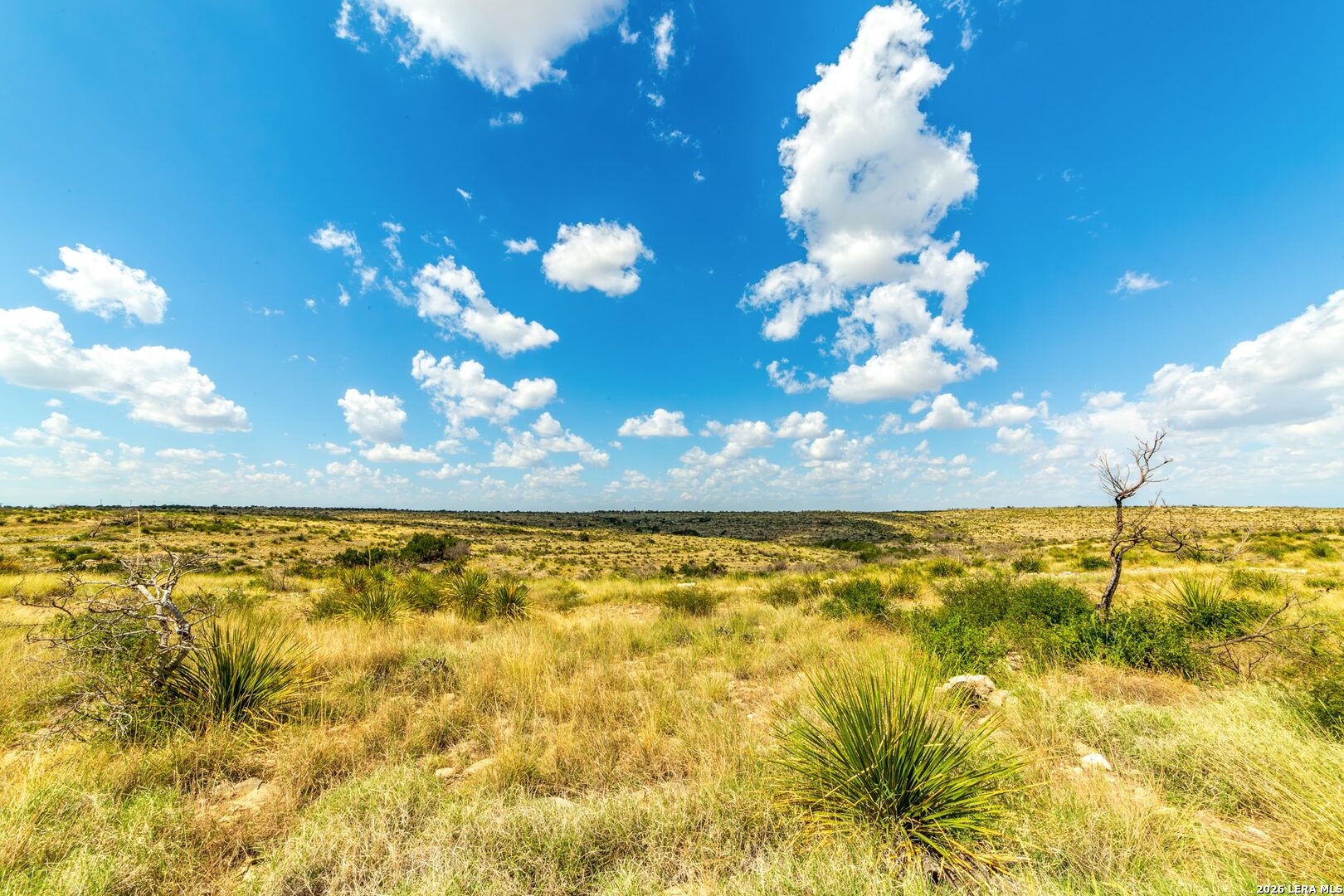 00 Cr 107 Ozona TX 76943