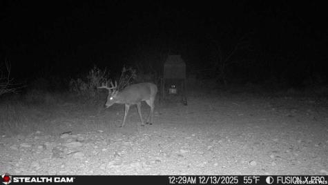 00 Cr 107 Ozona TX 76943