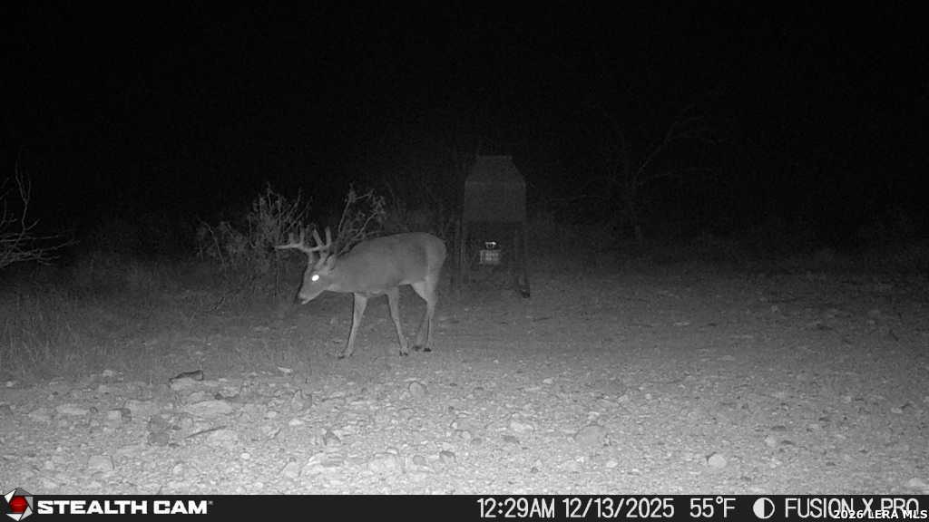 00 Cr 107 Ozona TX 76943