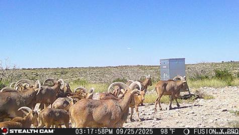 00 Cr 107 Ozona TX 76943