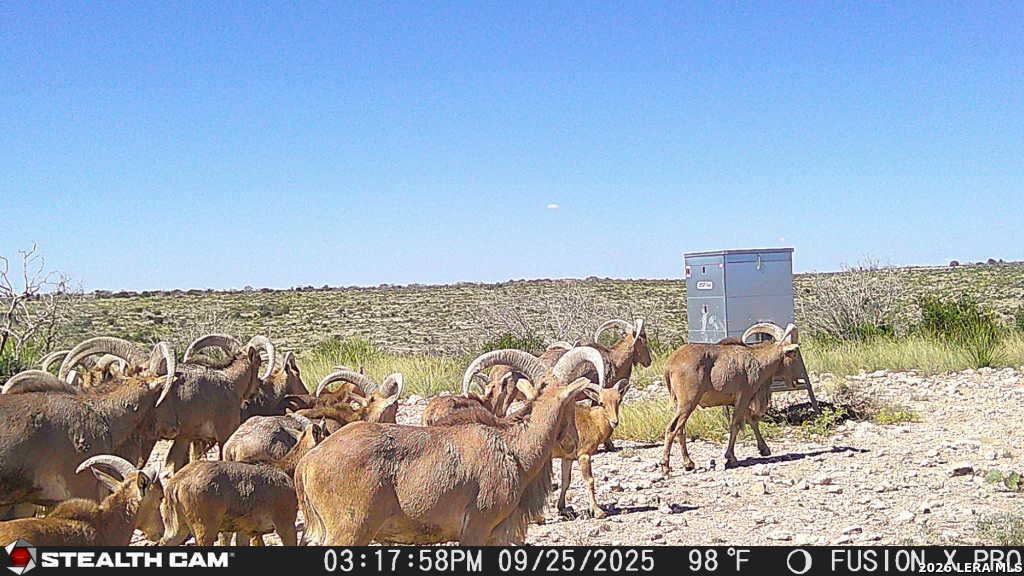 00 Cr 107 Ozona TX 76943