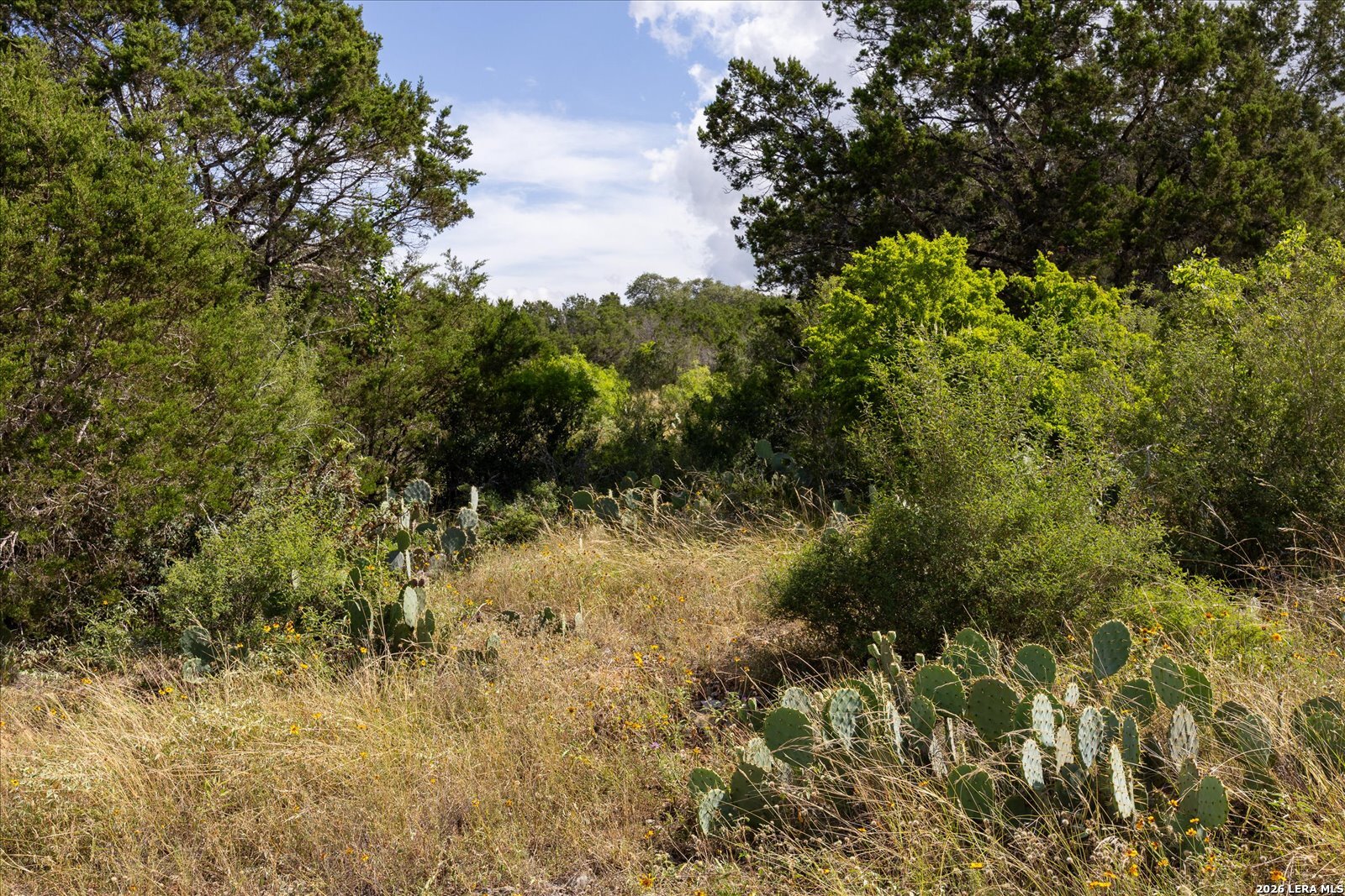 5726 W State Highway 46 New Braunfels TX 78132