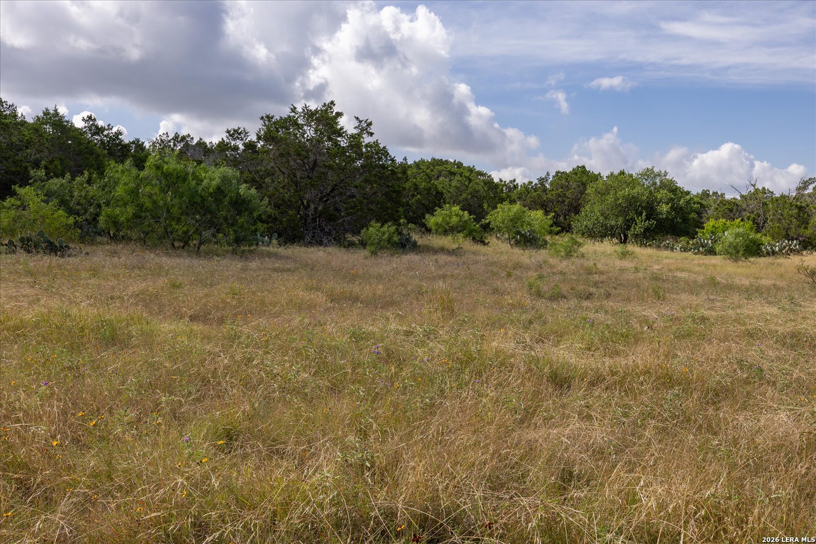 5726 W State Highway 46 New Braunfels TX 78132