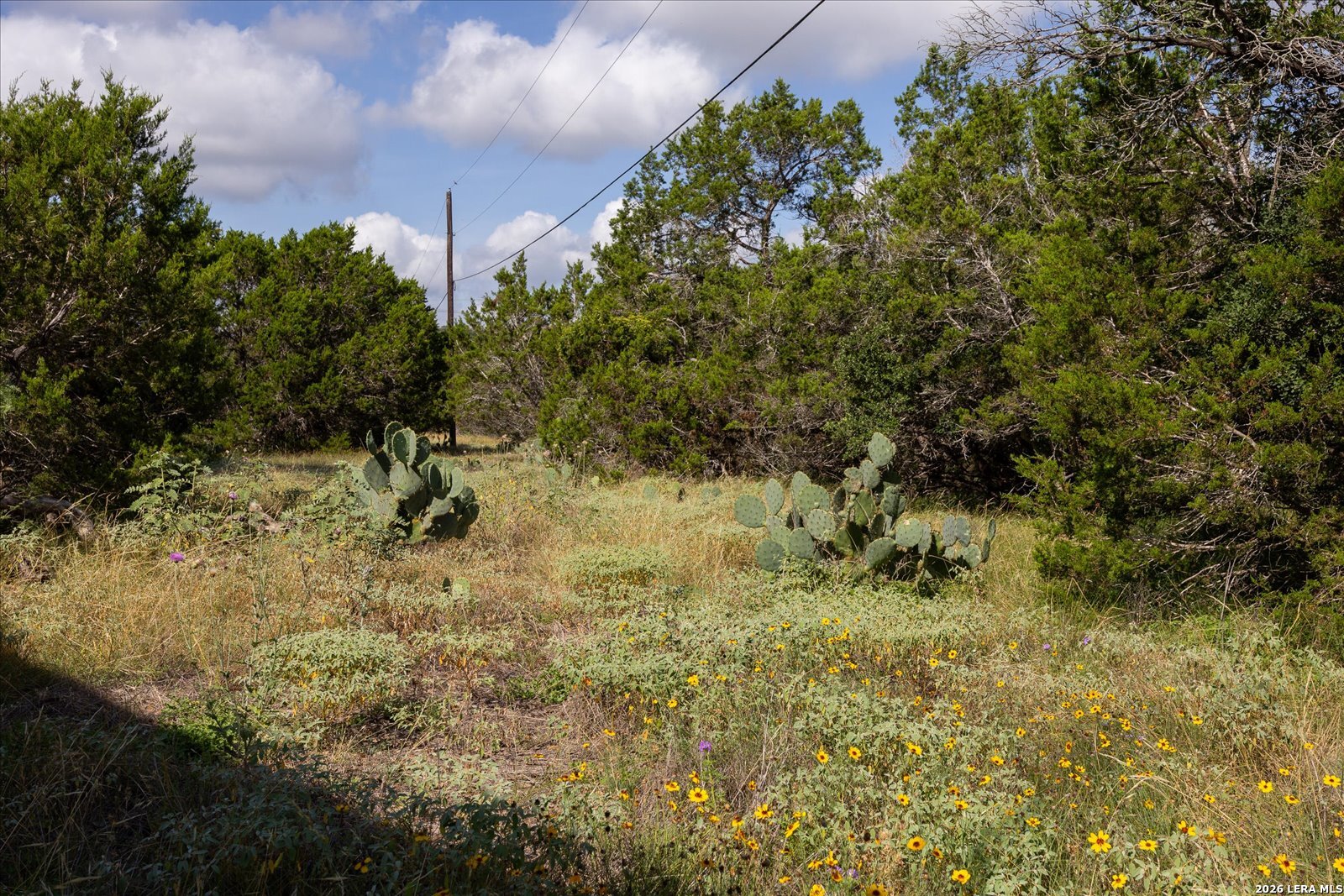 5726 W State Highway 46 New Braunfels TX 78132