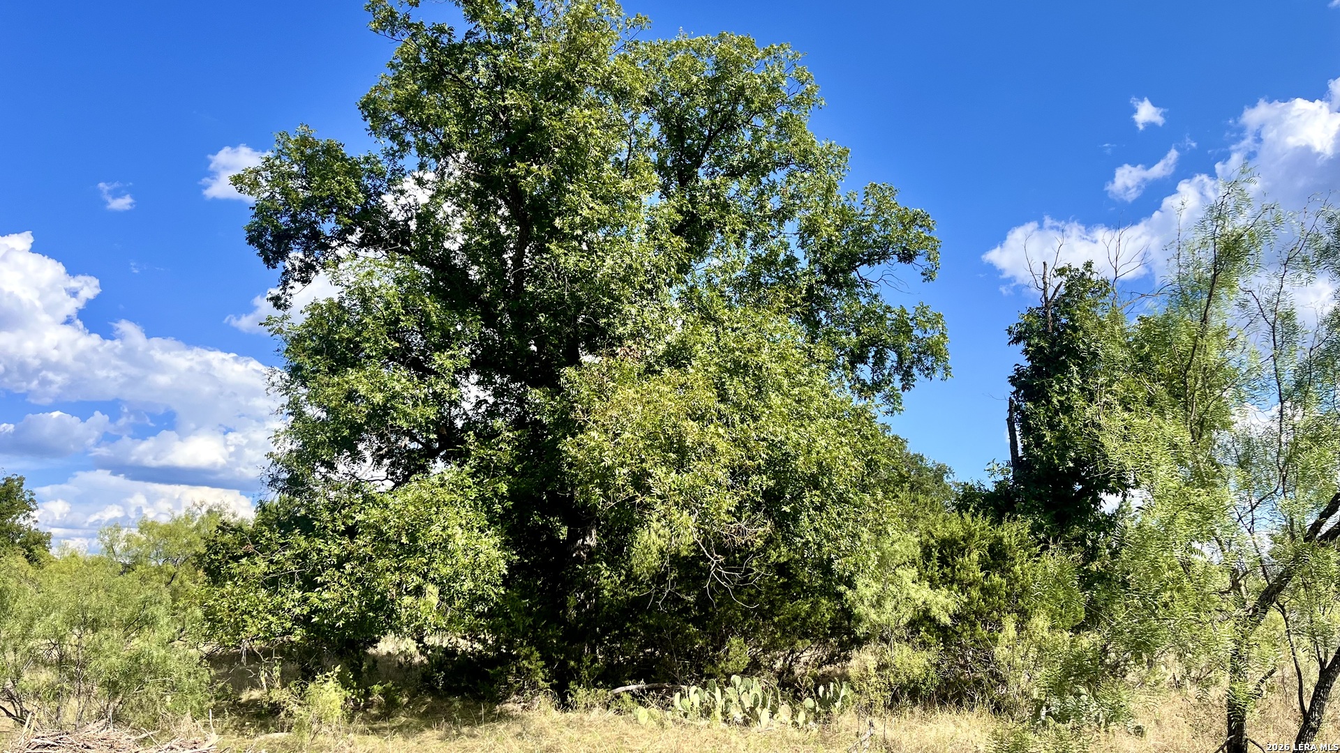 348 Lundy Road Junction TX 76849