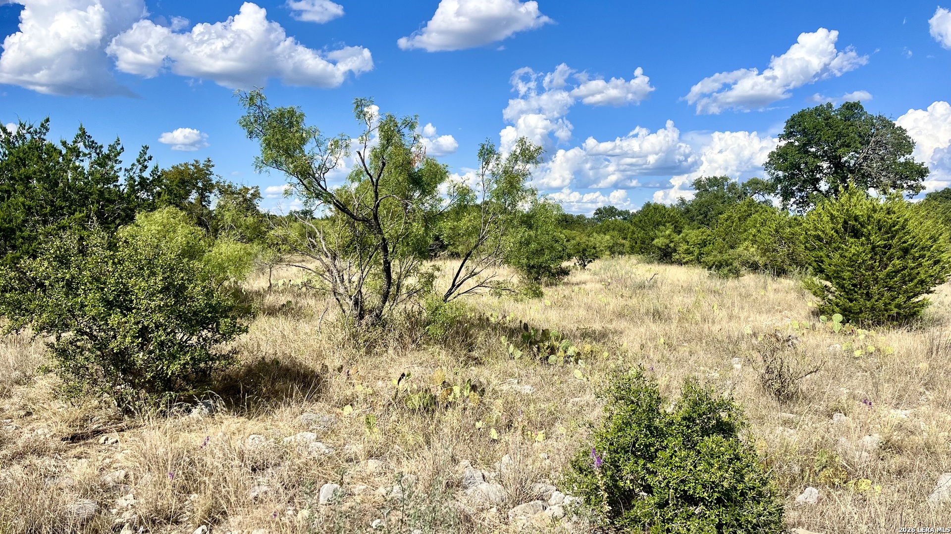 348 Lundy Road Junction TX 76849