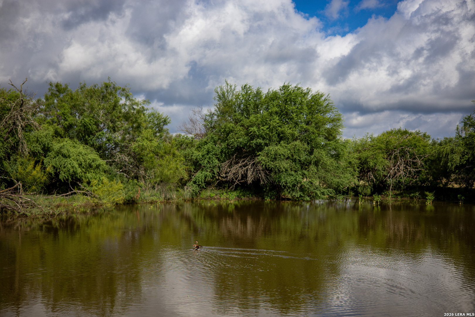 10385 S Foster Road San Antonio TX 78223