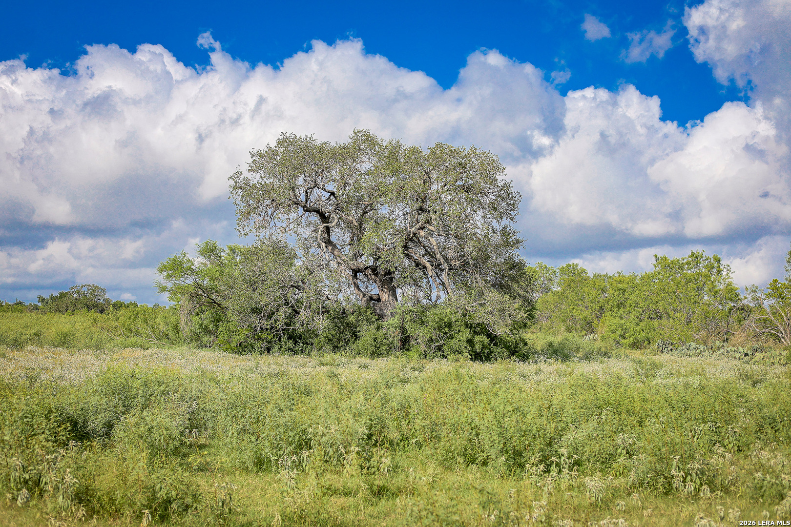 10385 S Foster Road San Antonio TX 78223