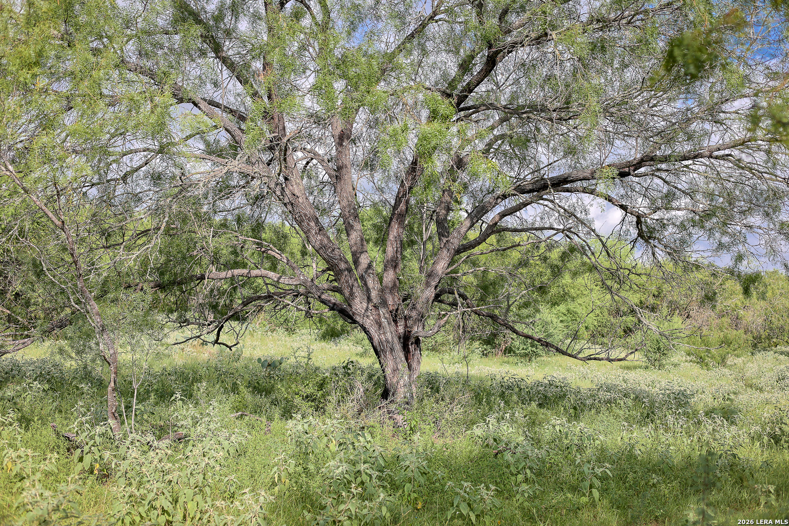 10385 S Foster Road San Antonio TX 78223