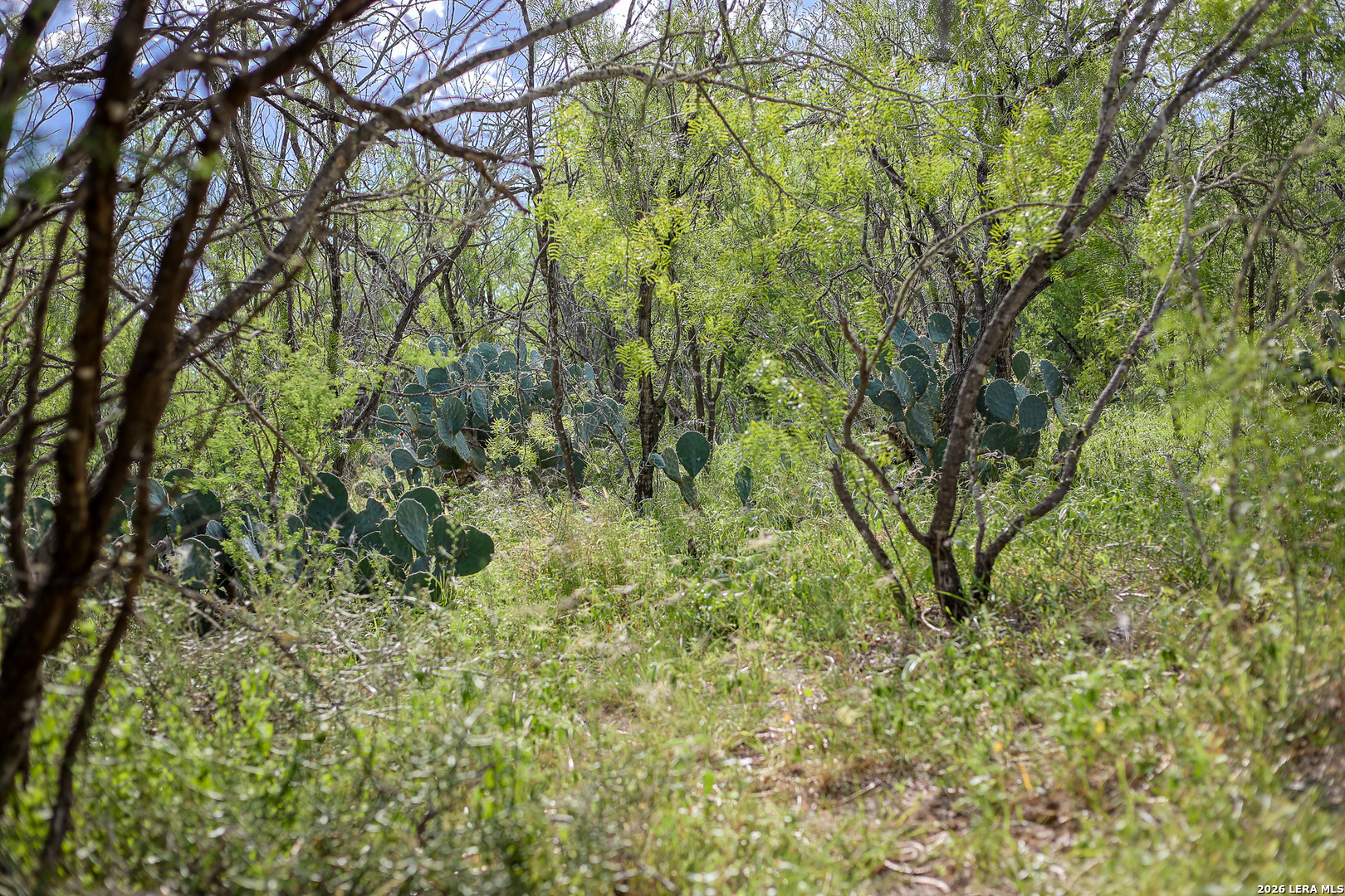 10385 S Foster Road San Antonio TX 78223
