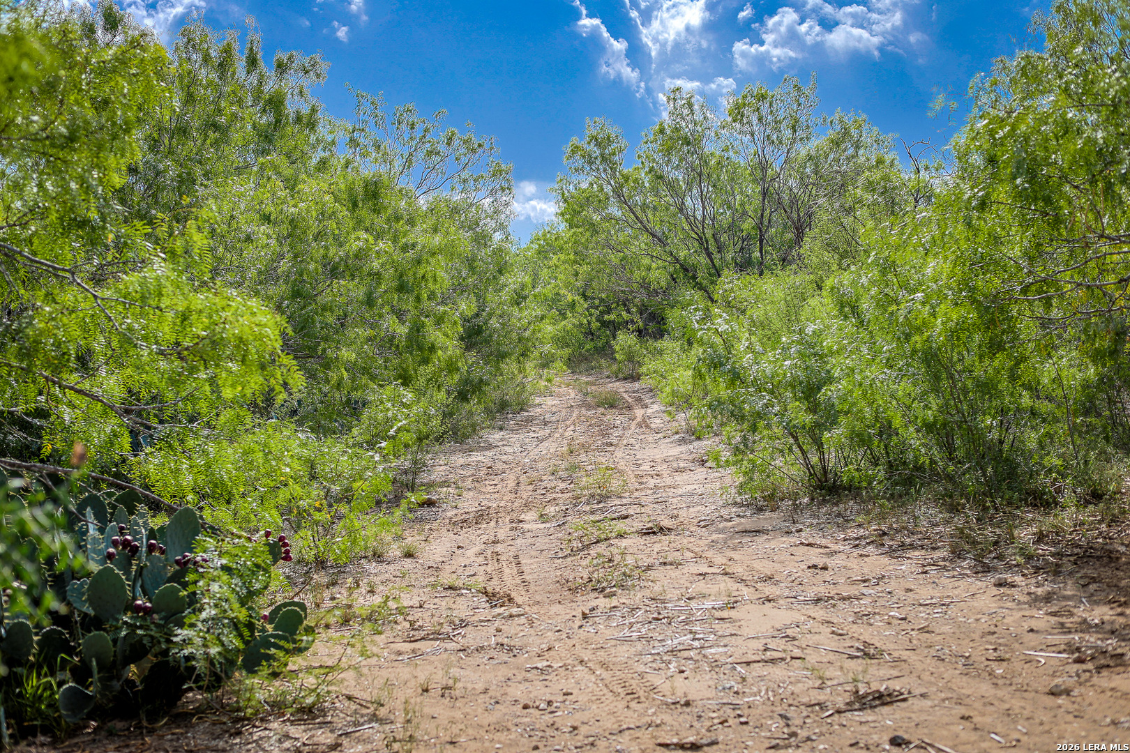 10385 S Foster Road San Antonio TX 78223