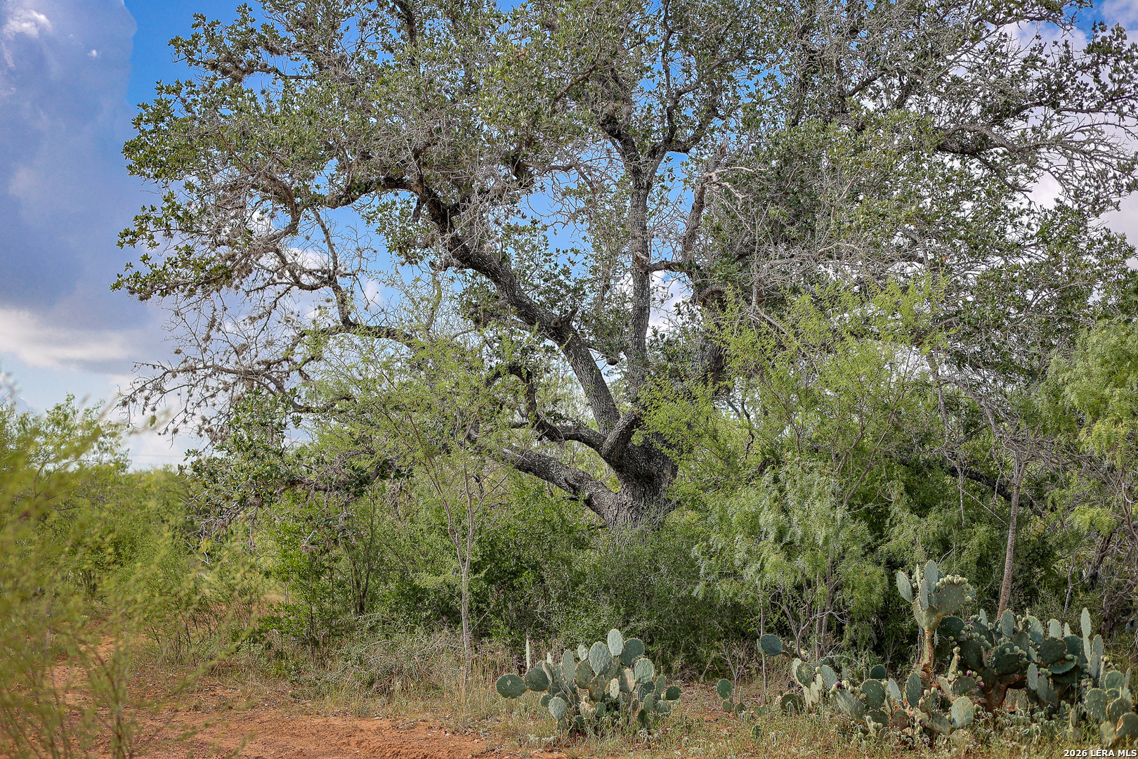 10385 S Foster Road San Antonio TX 78223