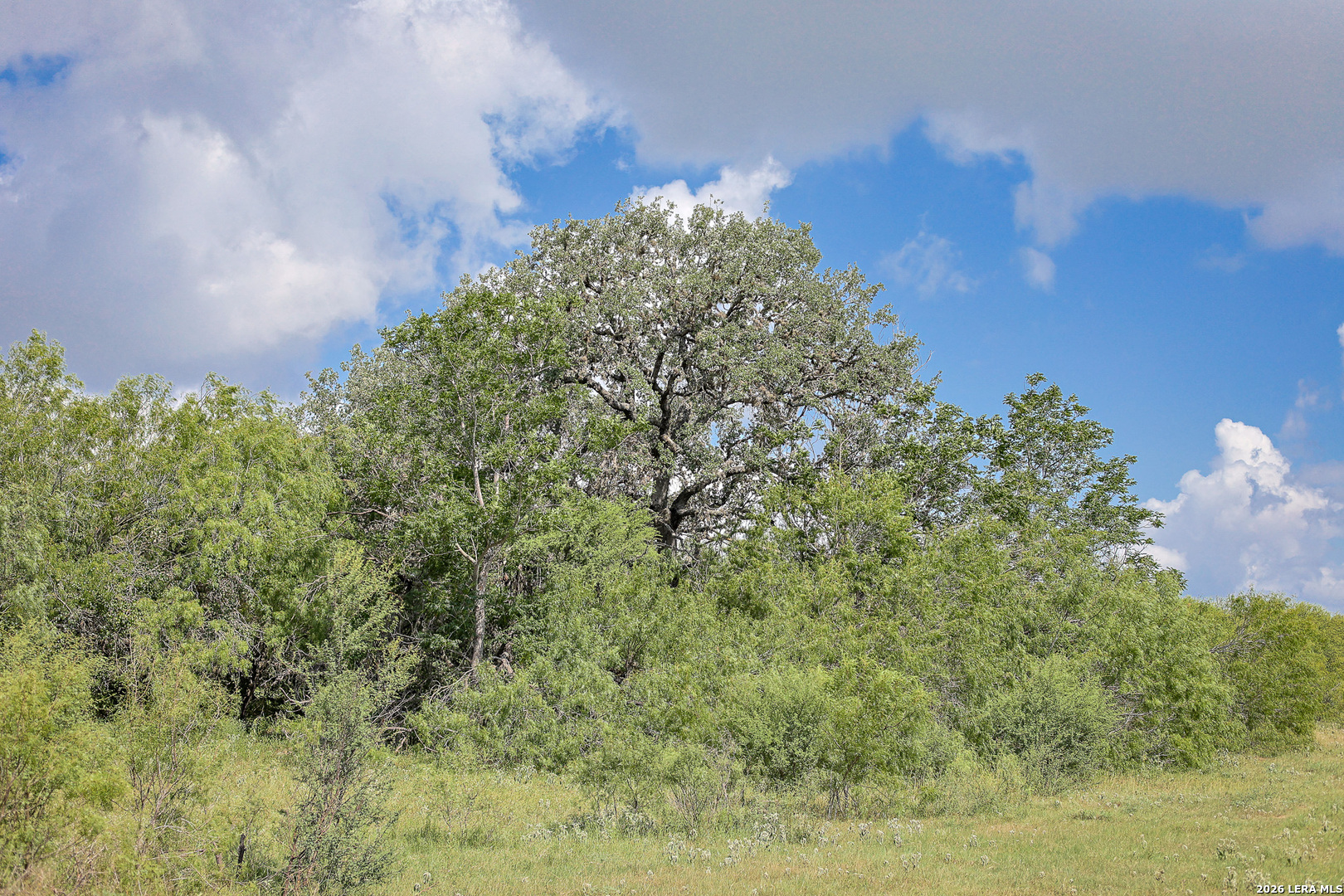 10385 S Foster Road San Antonio TX 78223