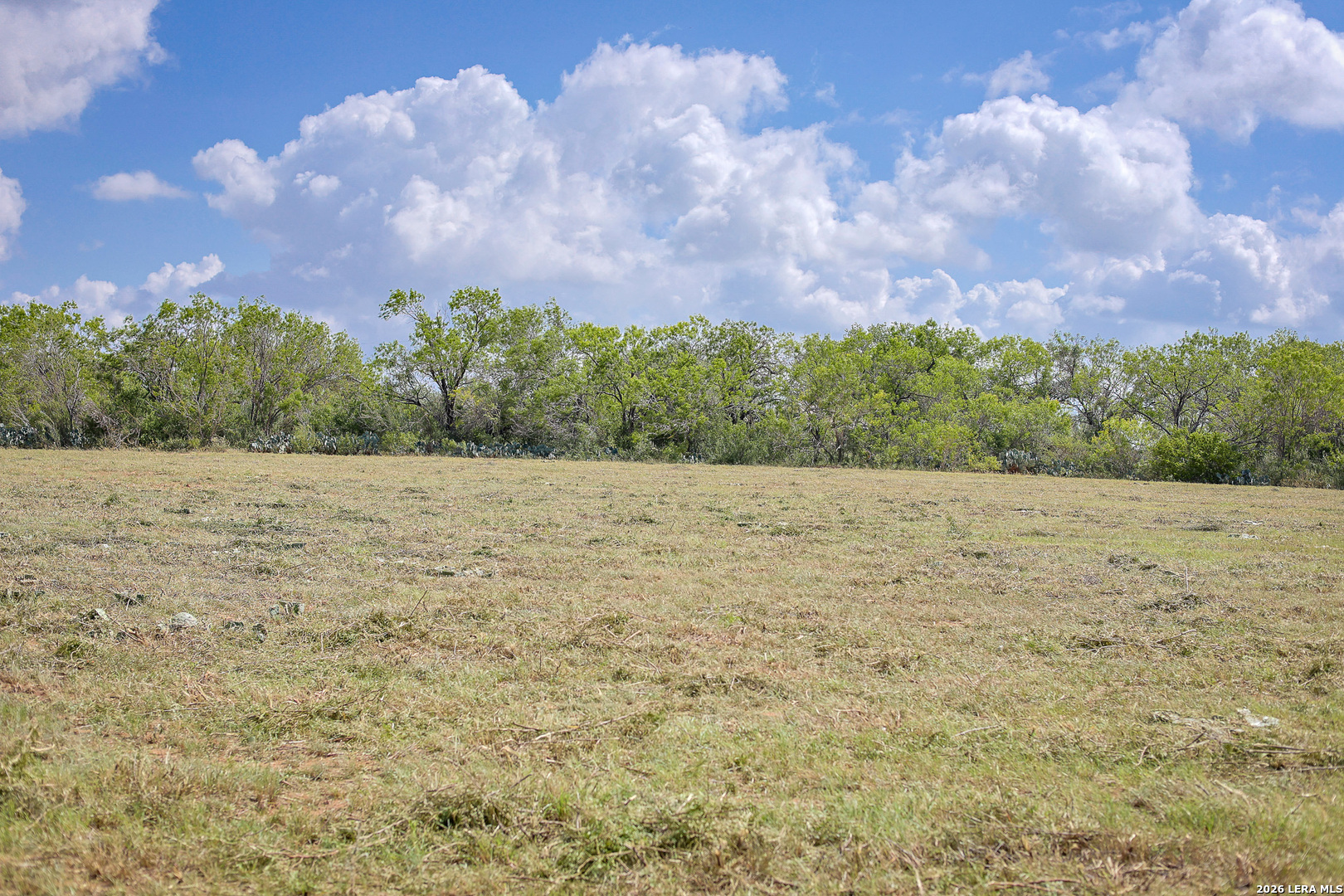 10385 S Foster Road San Antonio TX 78223