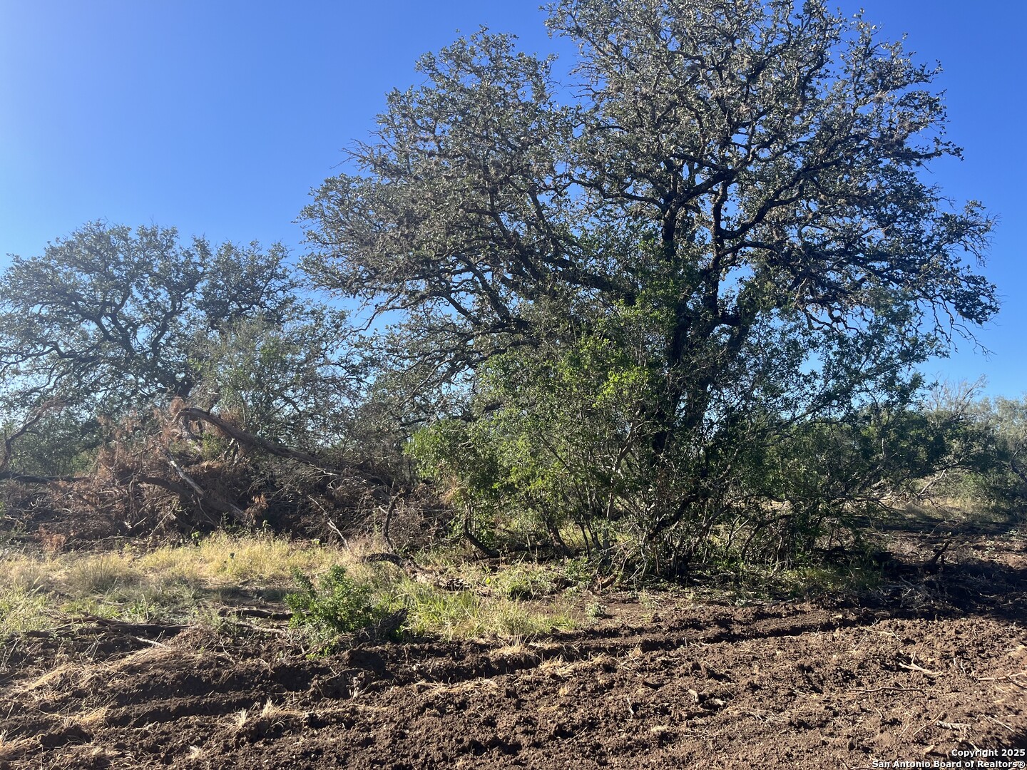 3609 Fm 1796 Dhanis TX 78850