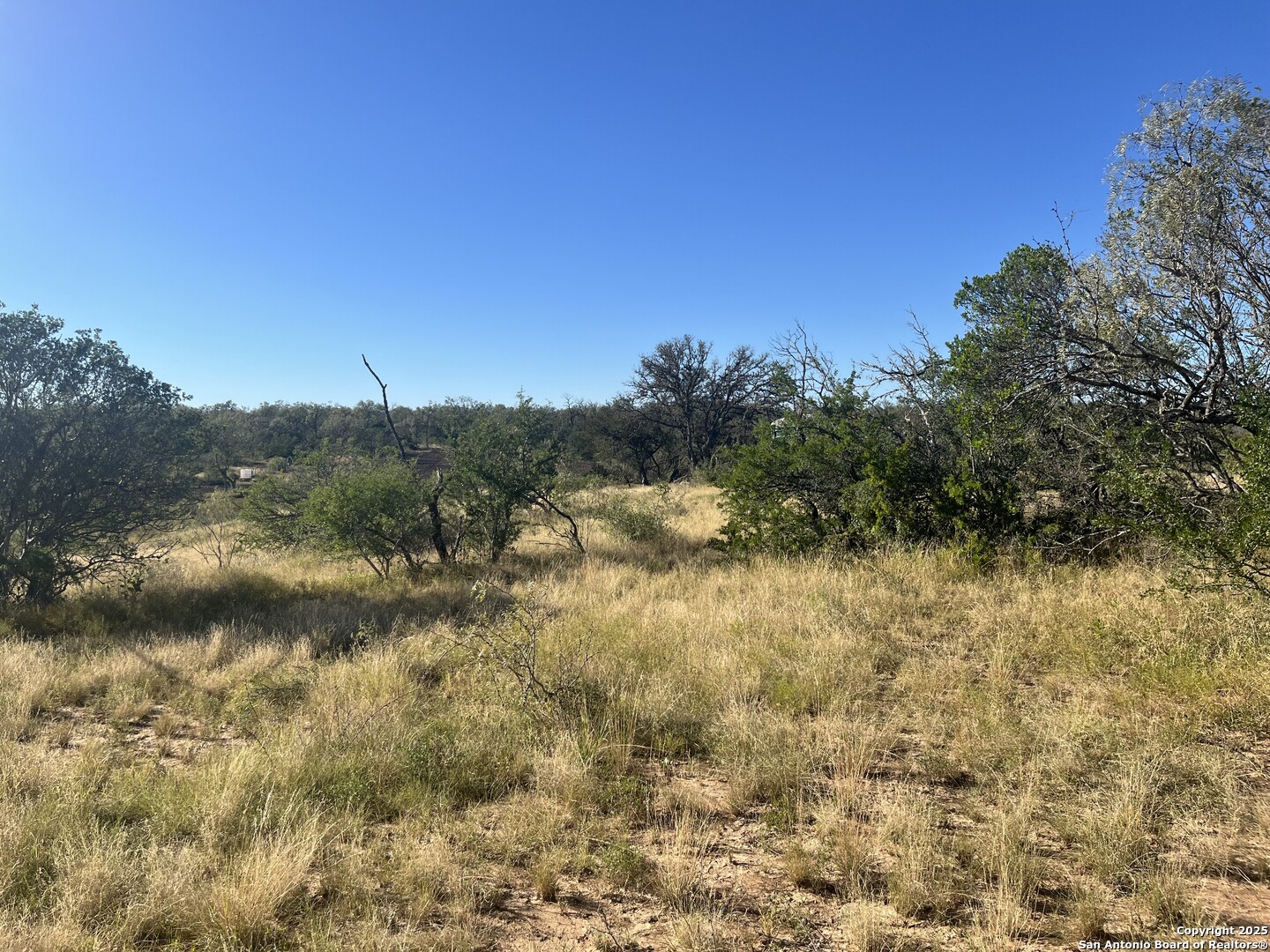 3609 Fm 1796 Dhanis TX 78850