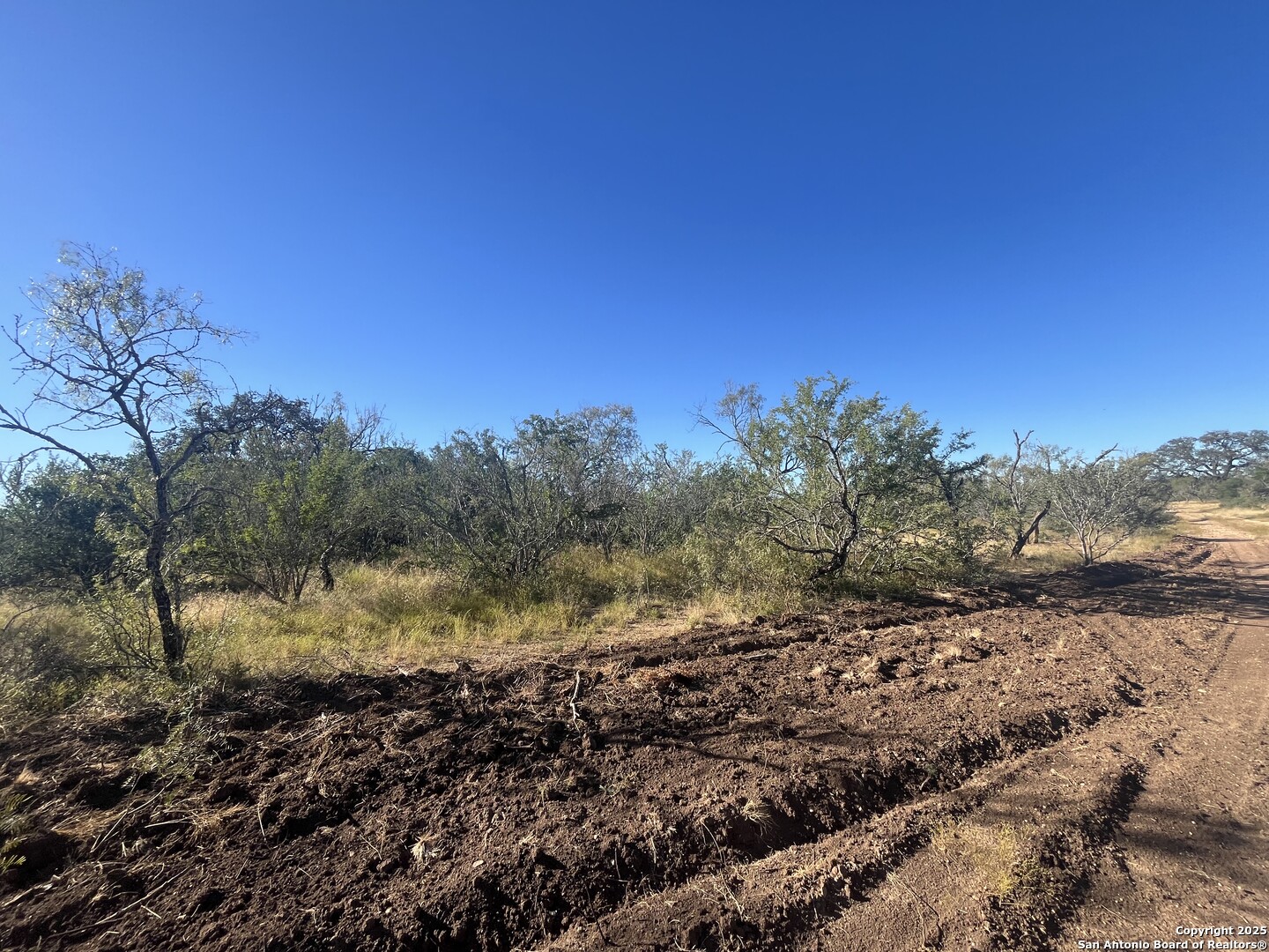 3609 Fm 1796 Dhanis TX 78850