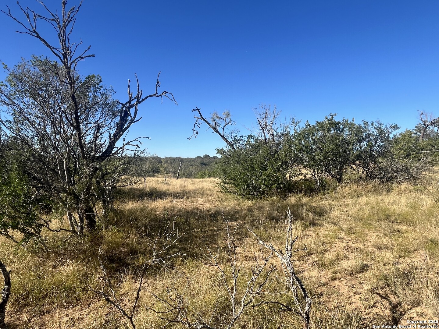 3609 Fm 1796 Dhanis TX 78850