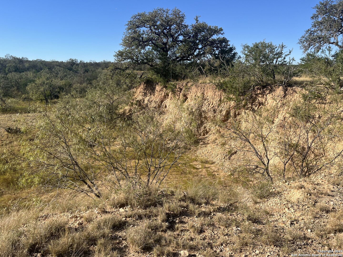 3609 Fm 1796 Dhanis TX 78850
