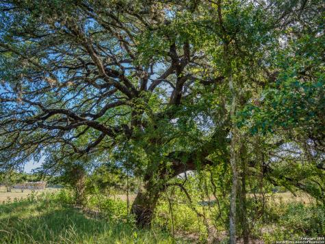 530 Westway Drive Kerrville TX 78028