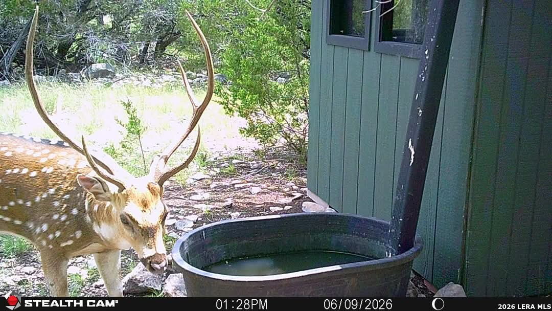 Tbd Sd 74100 Rocksprings TX 78880