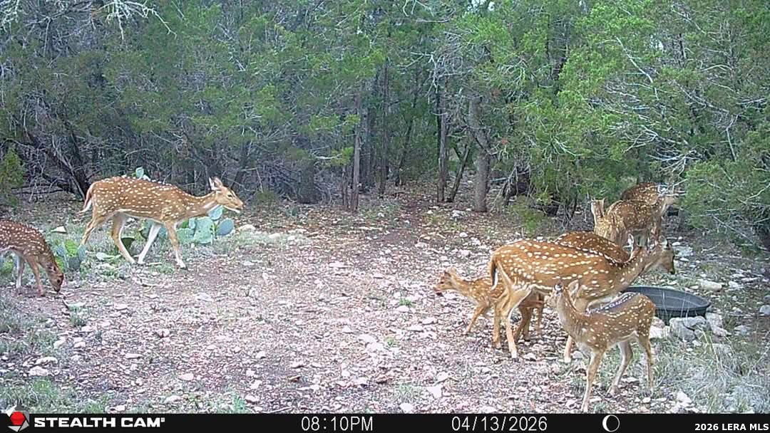 Tbd Sd 74100 Rocksprings TX 78880