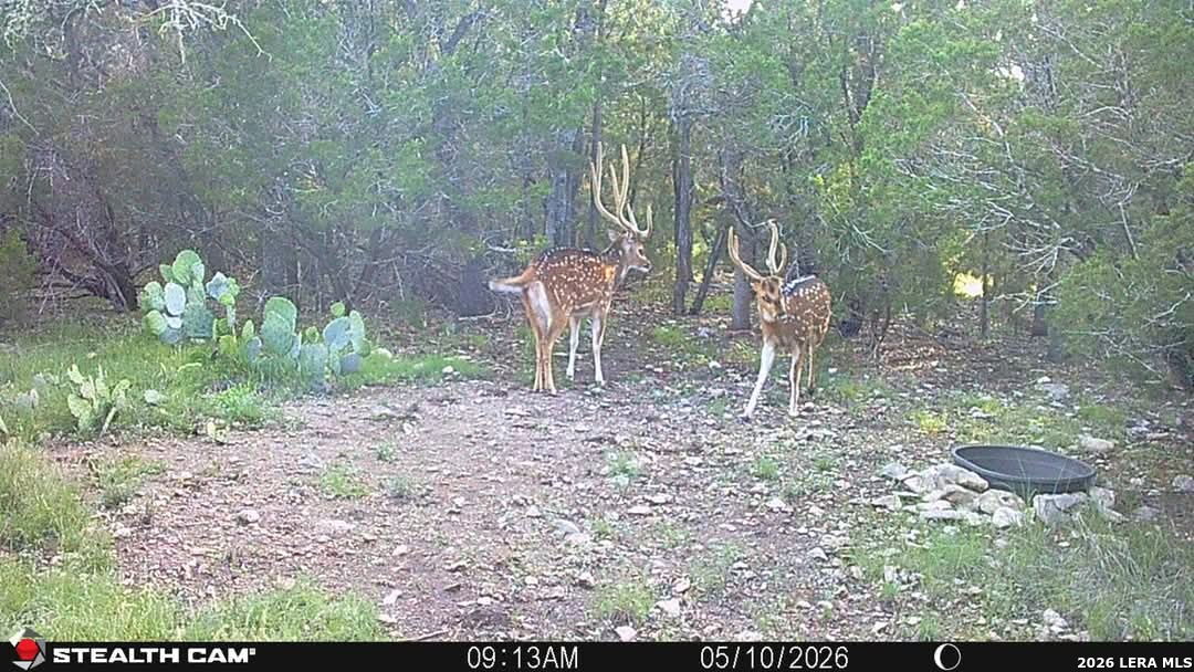 Tbd Sd 74100 Rocksprings TX 78880