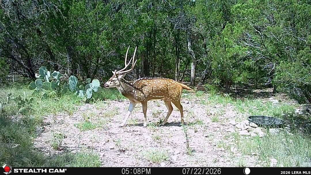 Tbd Sd 74100 Rocksprings TX 78880