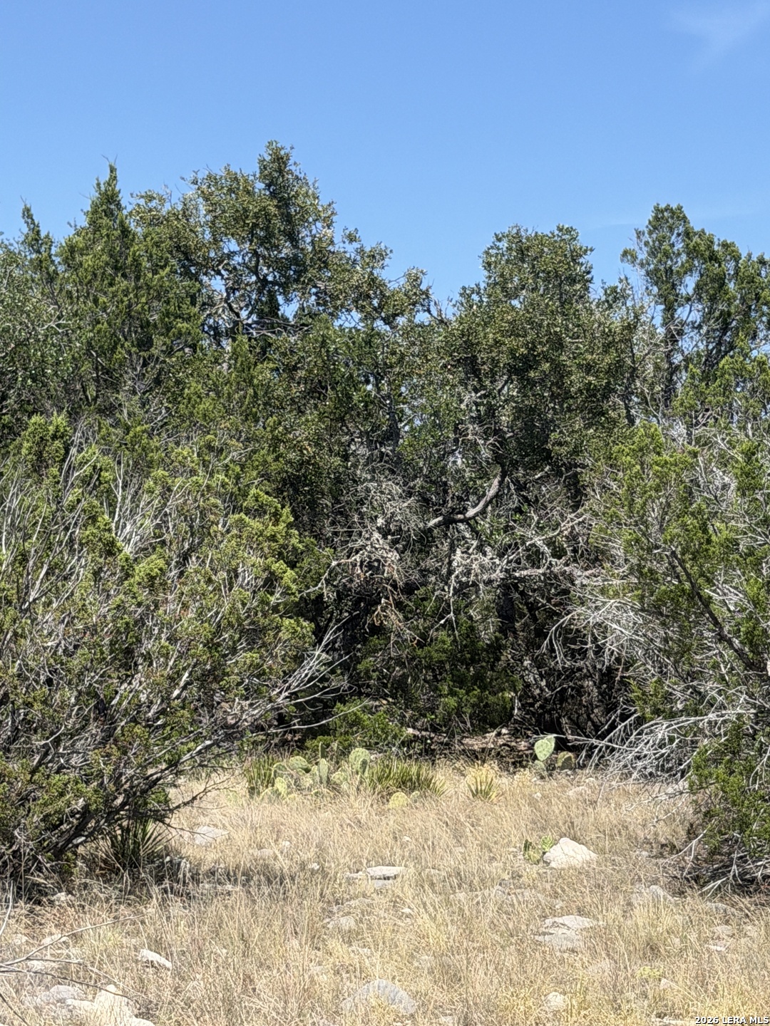 Tbd Sd 74100 Rocksprings TX 78880