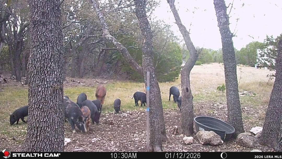 Tbd Sd 74100 Rocksprings TX 78880