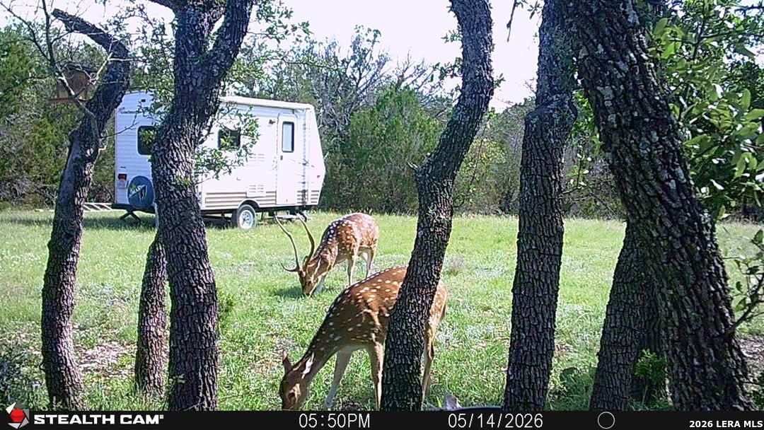 Tbd Sd 74100 Rocksprings TX 78880