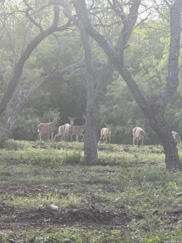2379 County Road 185 Karnes City TX 78118