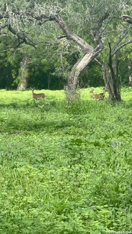 2379 County Road 185 Karnes City TX 78118