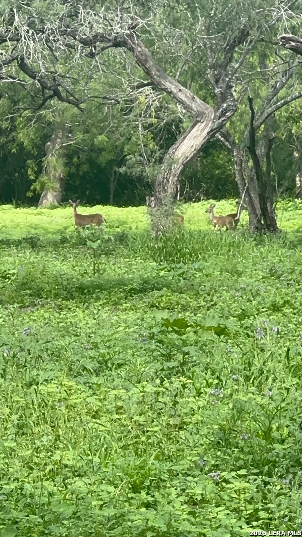 2379 County Road 185 Karnes City TX 78118