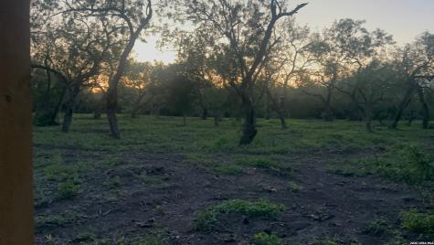 2379 County Road 185 Karnes City TX 78118