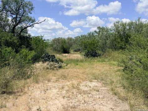 Tbd Fm 791 Campbellton TX 78008