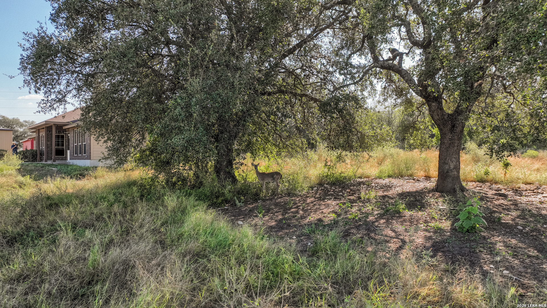 1405 County Road 251 Hondo TX 78861
