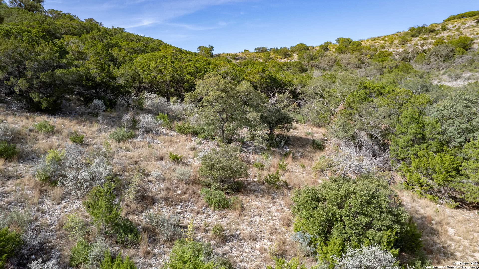 22189 State Highway 55 Uvalde TX 78801