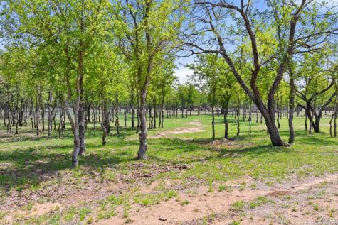 10900 Ranch Road 1323 Johnson City TX 78636