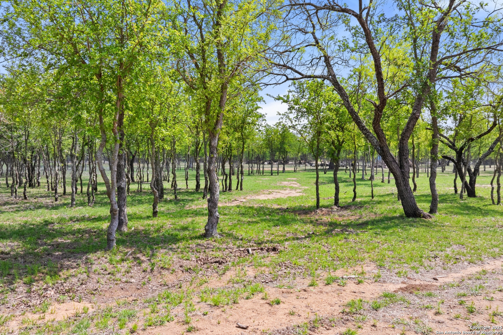 10900 Ranch Road 1323 Johnson City TX 78636