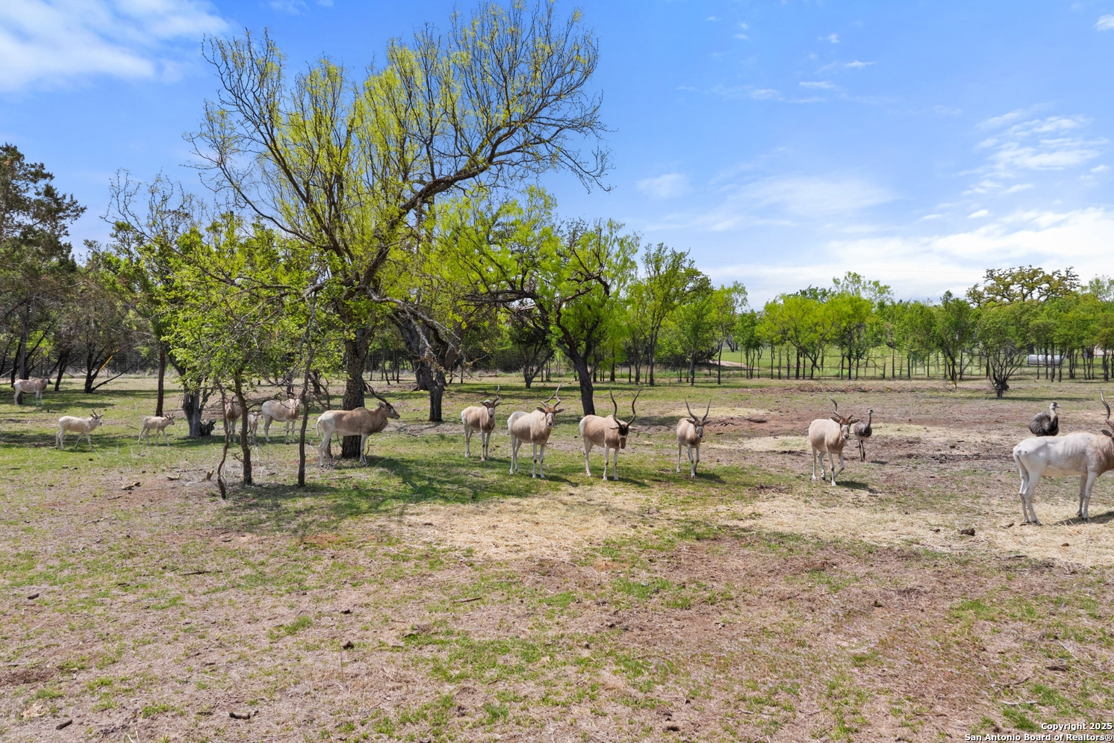 10900 Ranch Road 1323 Johnson City TX 78636