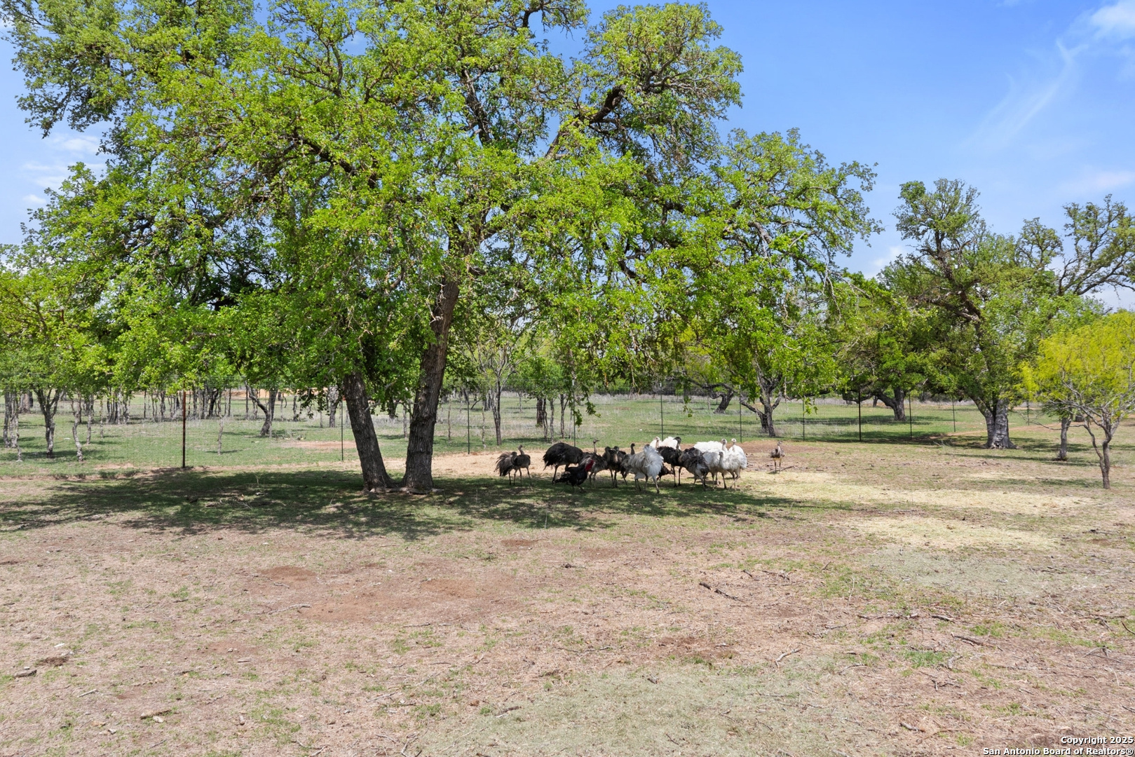 10900 Ranch Road 1323 Johnson City TX 78636