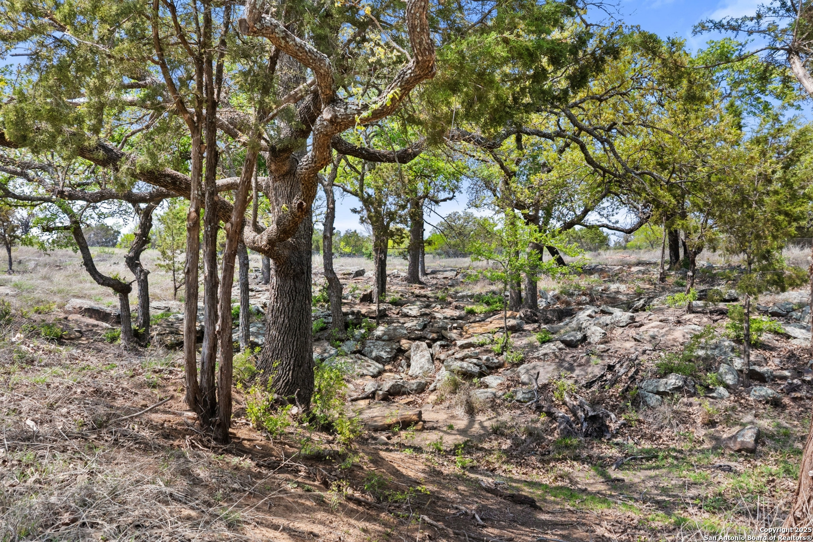 10900 Ranch Road 1323 Johnson City TX 78636