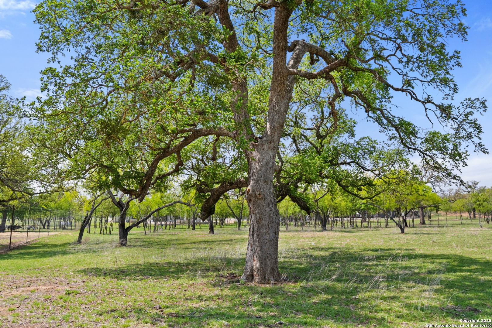 10900 Ranch Road 1323 Johnson City TX 78636