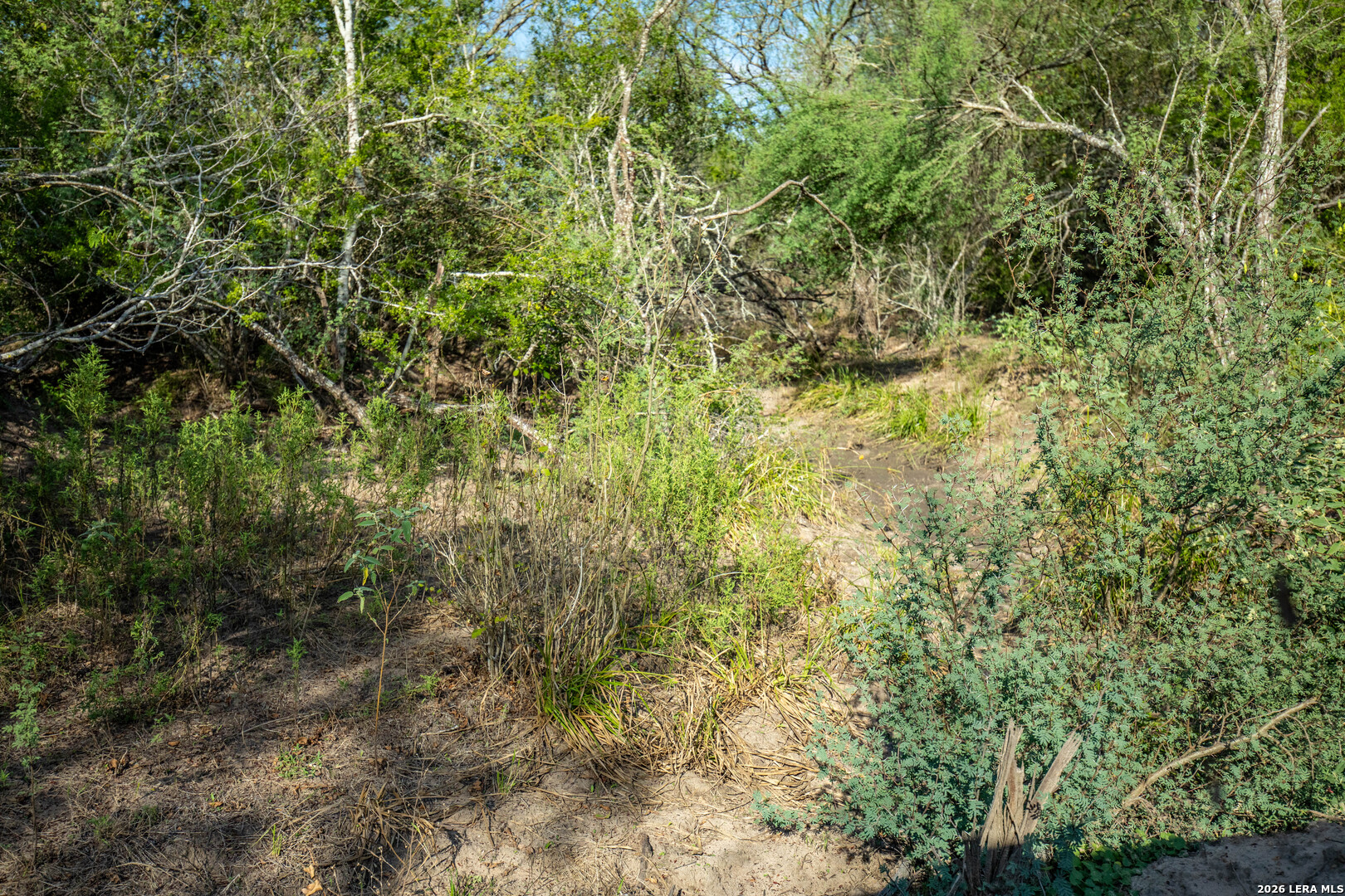 1116 Earl Williams Cuero TX 77954