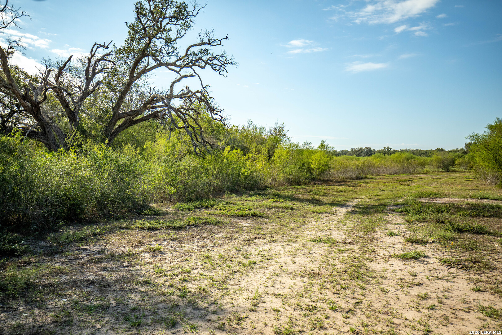 1116 Earl Williams Cuero TX 77954