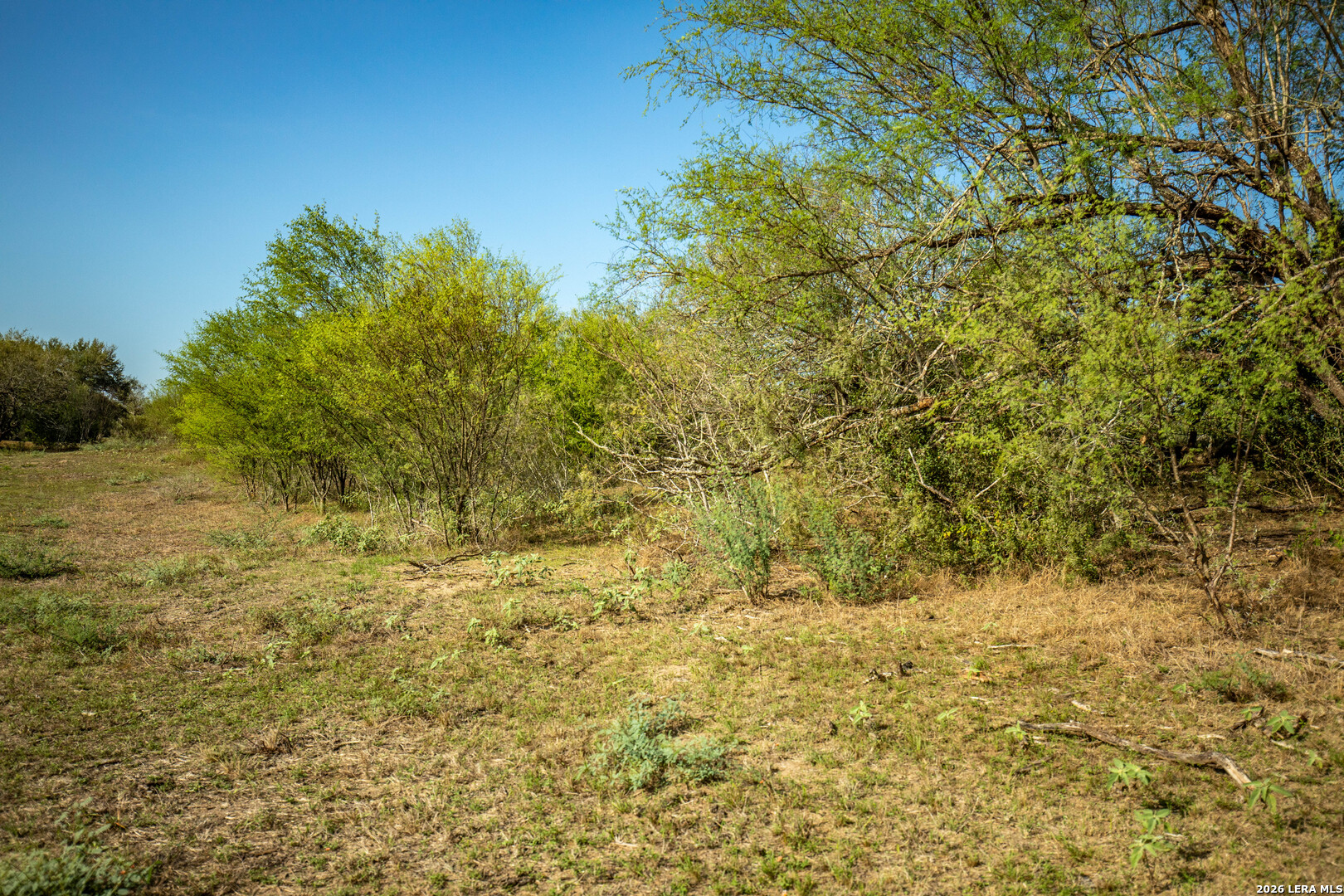 1116 Earl Williams Cuero TX 77954