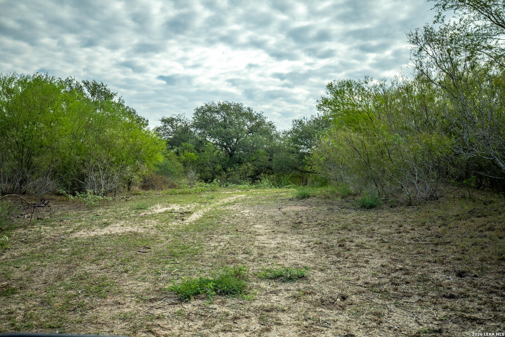 1116 Earl Williams Cuero TX 77954