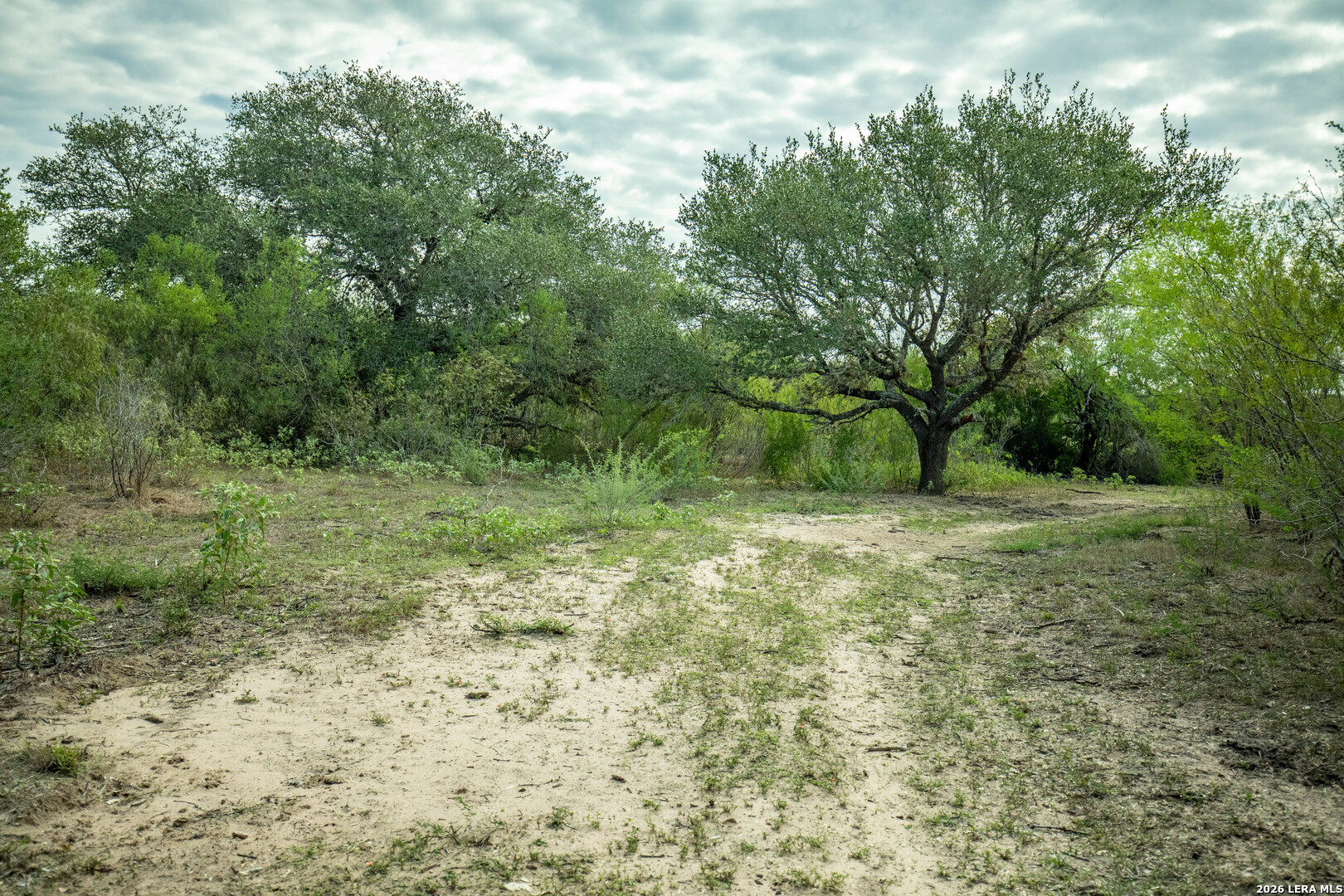1116 Earl Williams Cuero TX 77954