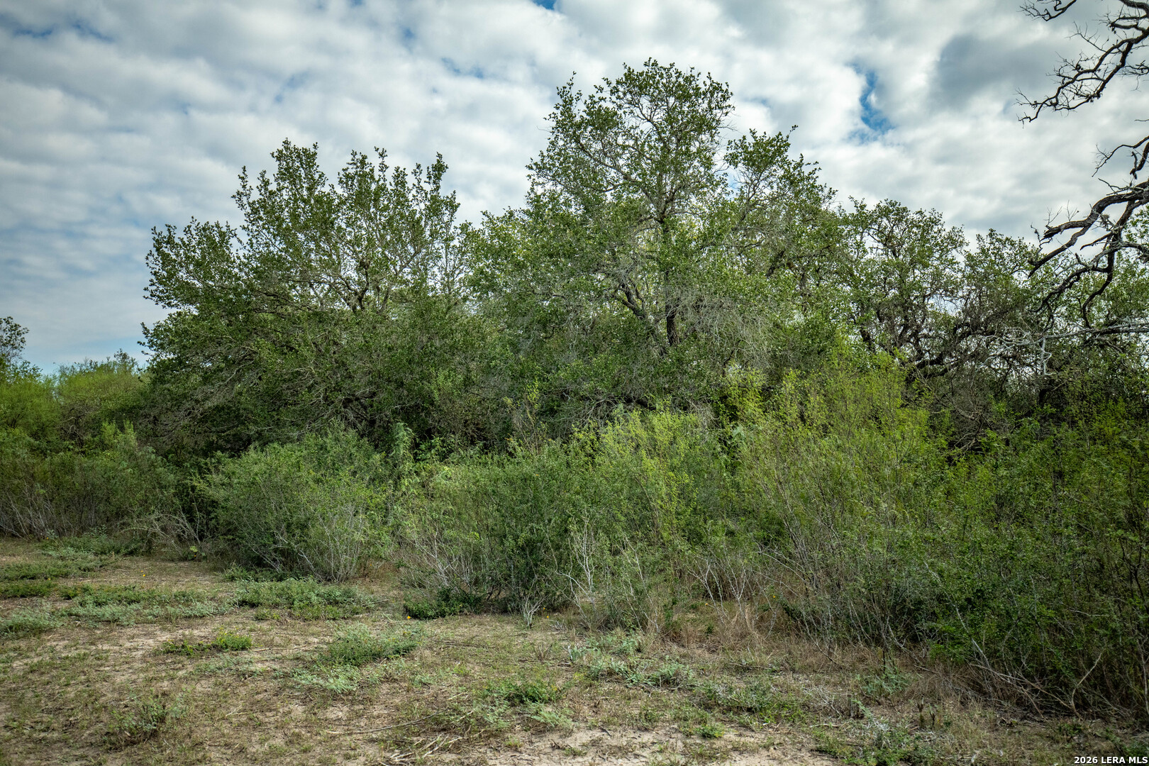 1116 Earl Williams Cuero TX 77954